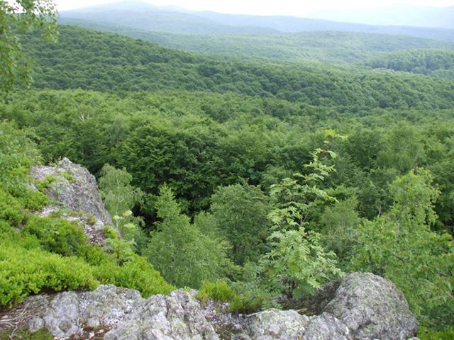  The Enchanted Valley Reserve 