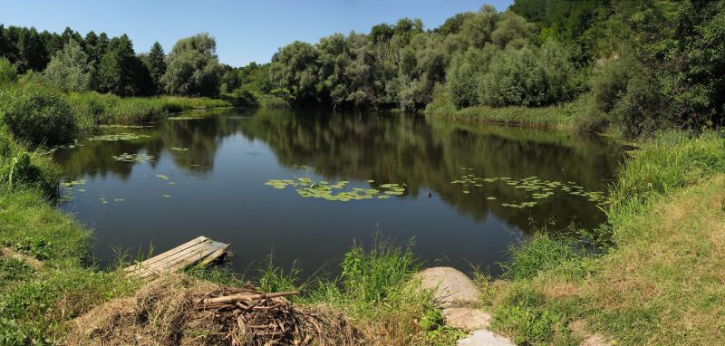 Зеленая зона у Мышоловского оврага