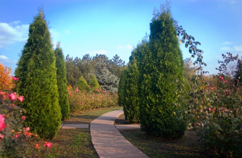 Криворожский ботанический сад