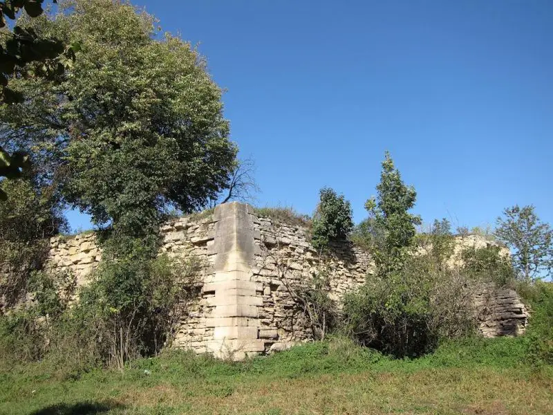 Чернелицкий замок, Чернелица