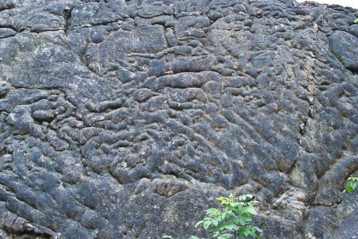  Exposure of the fossilized volcanic lava flow 