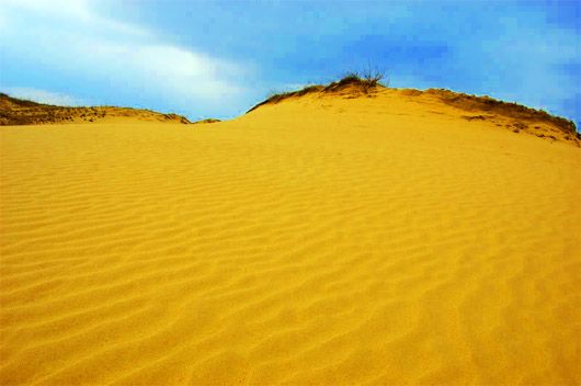 Олешківські піски