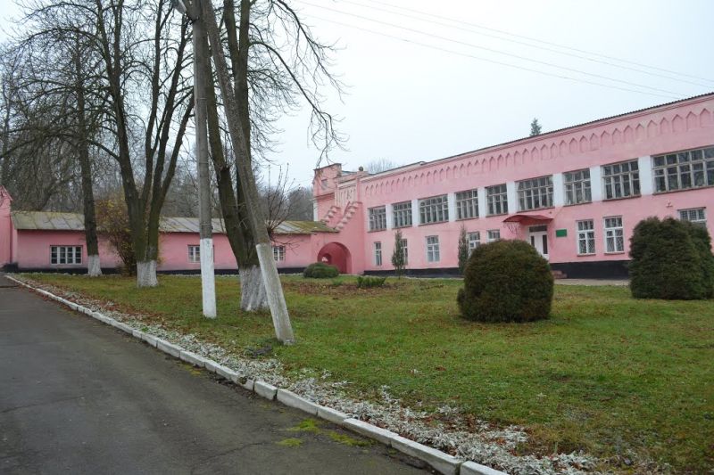 Дворец Витославских