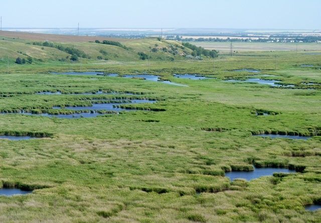 Sweet Liman, Berdyansk