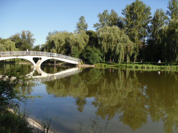 Міське озеро, Івано-Франківськ