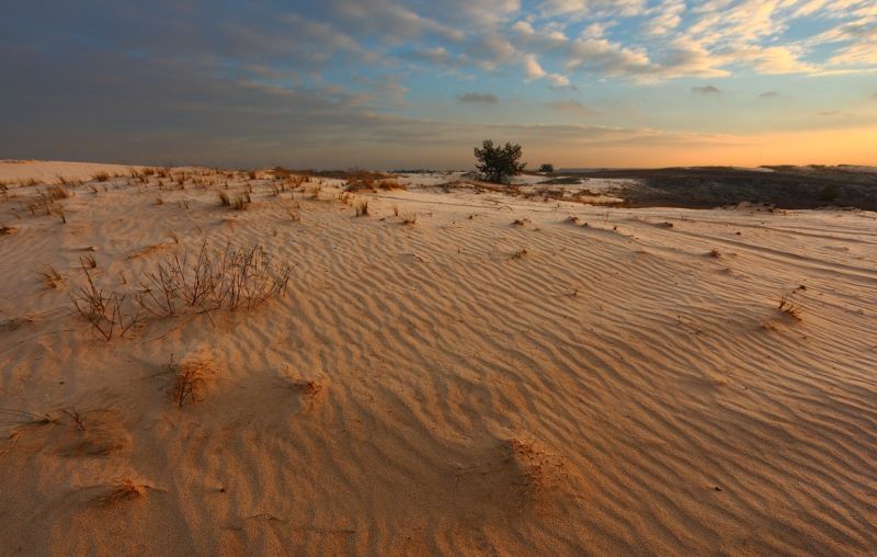 Hummocky sands