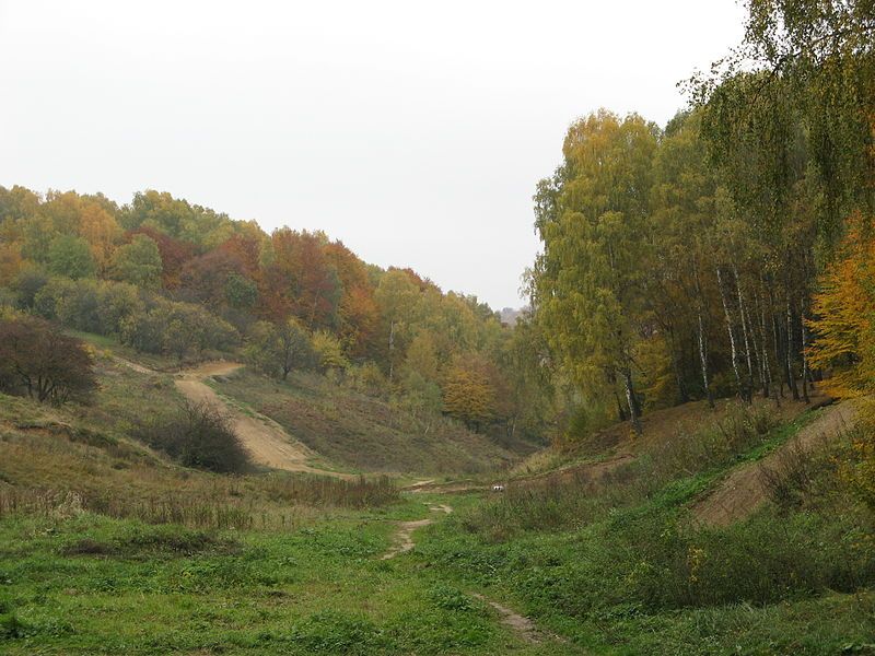 Винниковский лесопарк