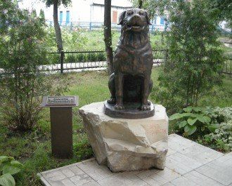 Monument to the Dog, Sumy