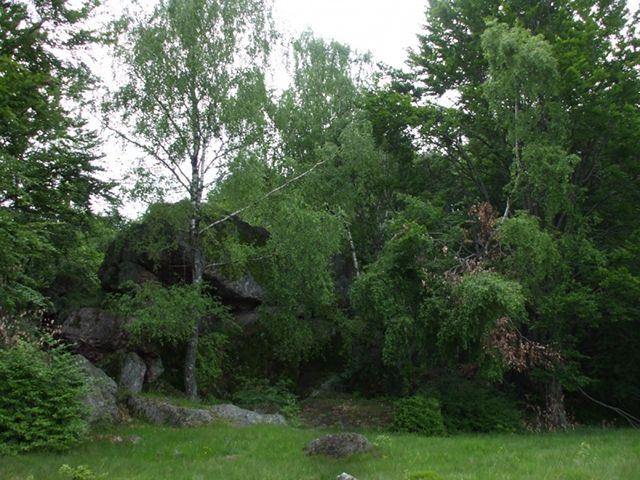 Заказник «Заколдованная долина»