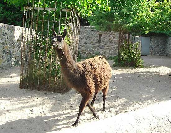 Cherkassy Zoo