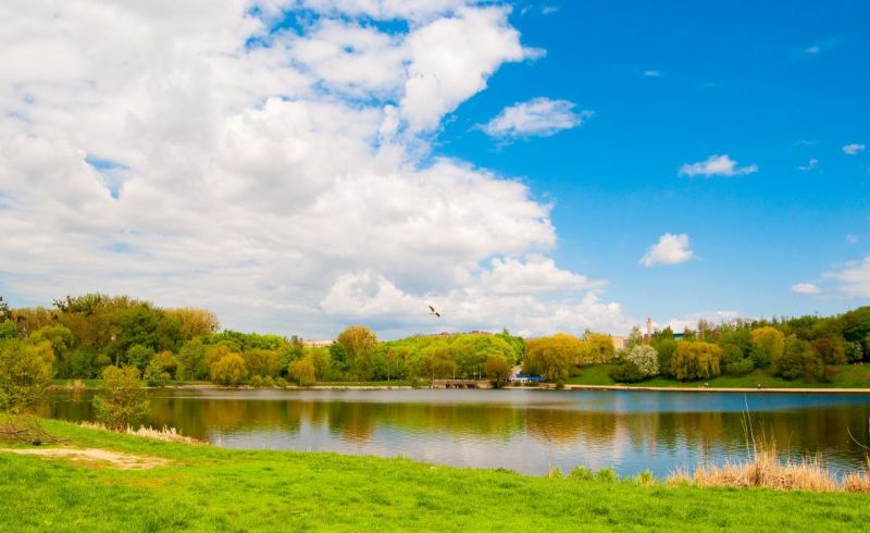 Lake Basov Kut