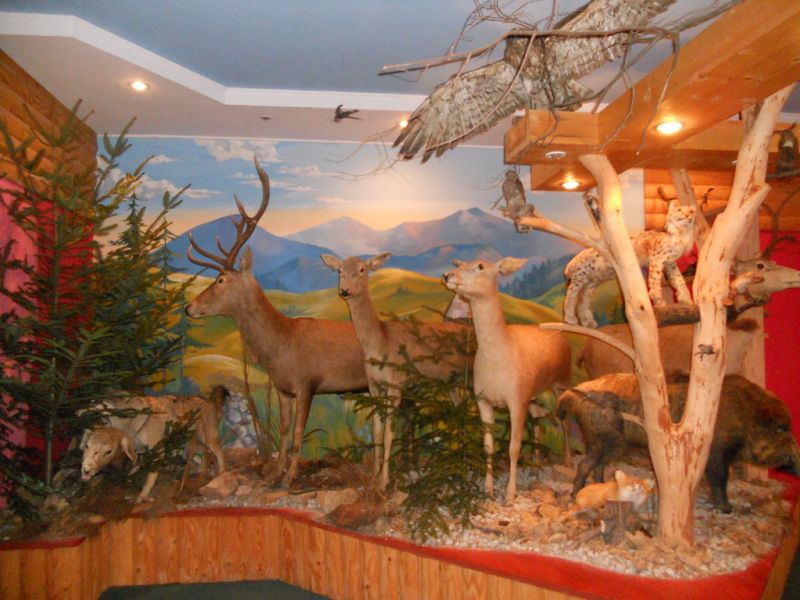 Музей флоры и фауны Карпат