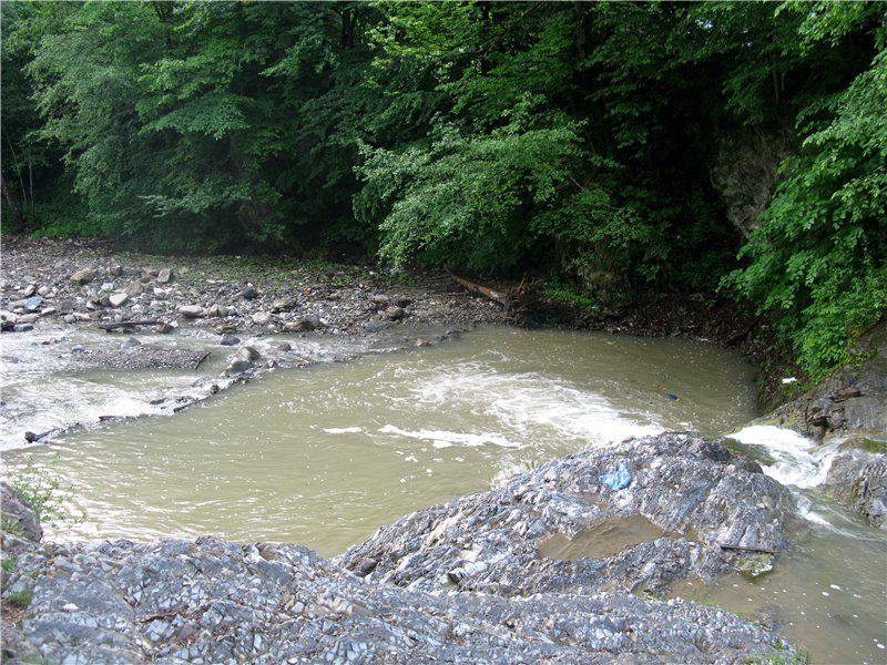 Mikvah, Vizhenka