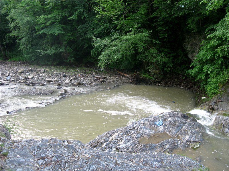 Mikvah, Vizhenka