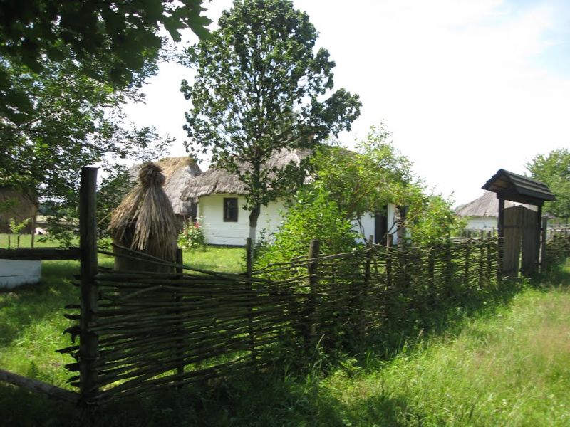 The Museum of Agriculture, Rokini