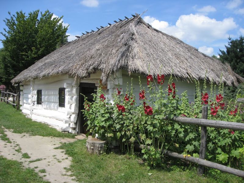 Музей сільського господарства, Рокині
