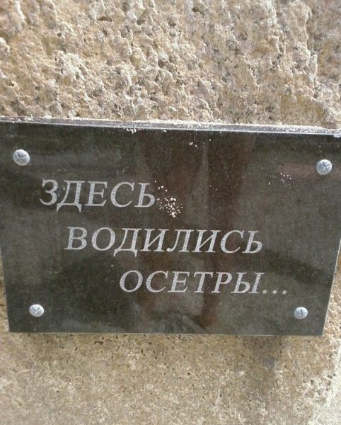 Памятник осетру, Бердянск