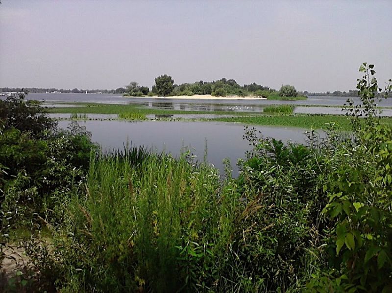 Zhukov Island, Kiev