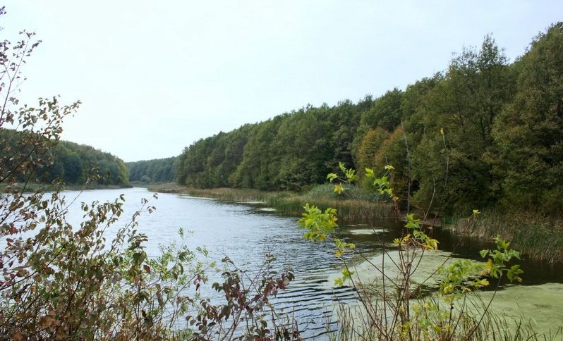 Чорне озеро, Богданівка