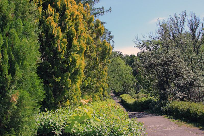 Государственный ботанический сад, Каменец-Подольский