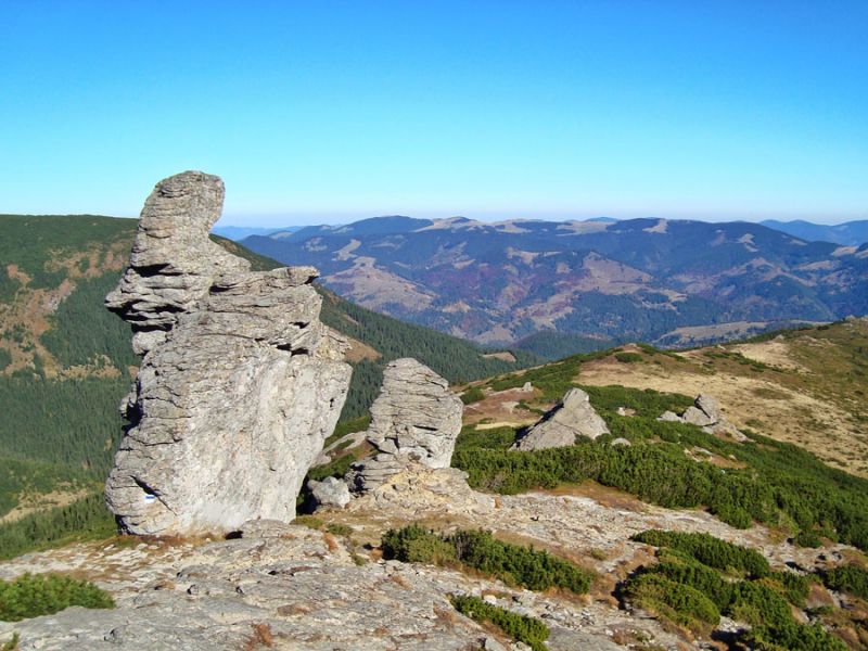 Mountain Eared Stone