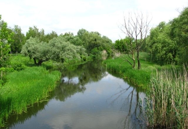 Парк Самойловых, Смела