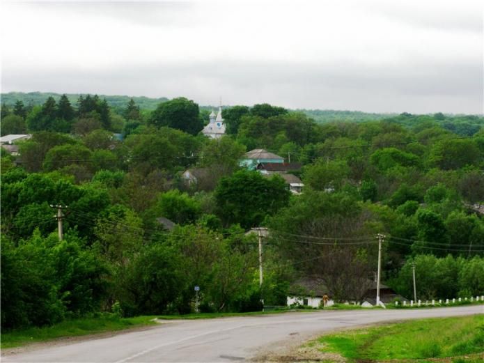 Покровская церковь, Днестровка