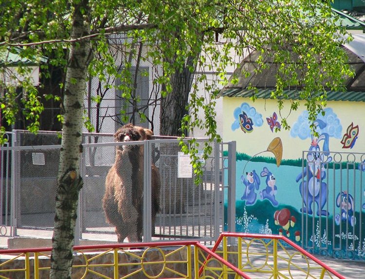 Зоопарк на территории Донецкого металлургического завода
