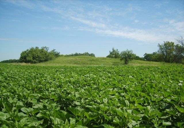 Kurga Three Graves, Zaporozhye 