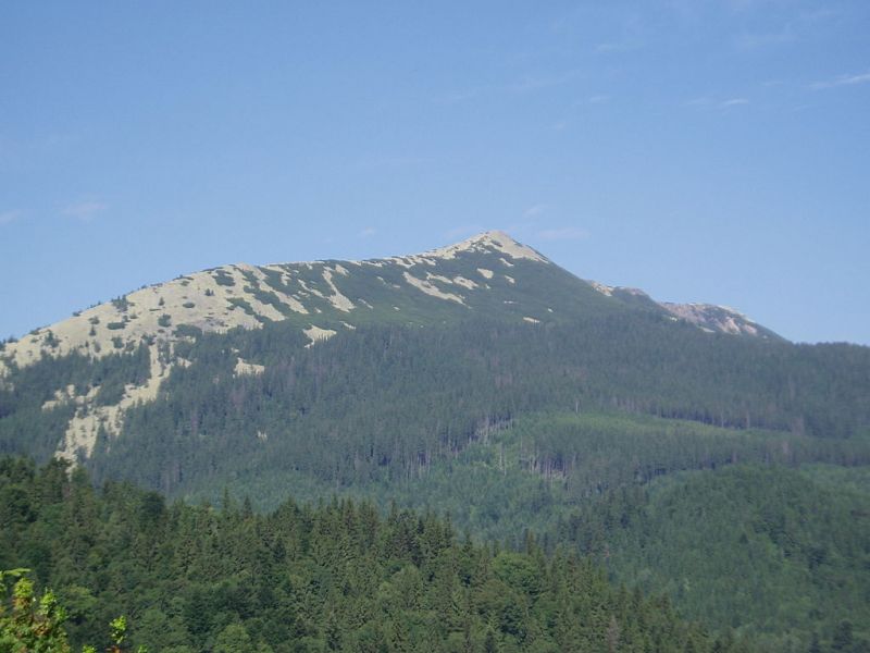 Гора Довбушанка