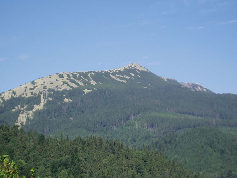  Гора Довбушанка 