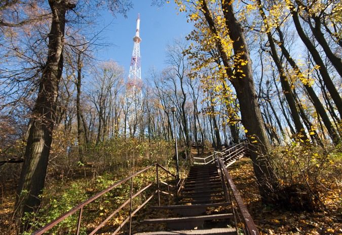 Гора «Высокий замок» (Замковая гора)