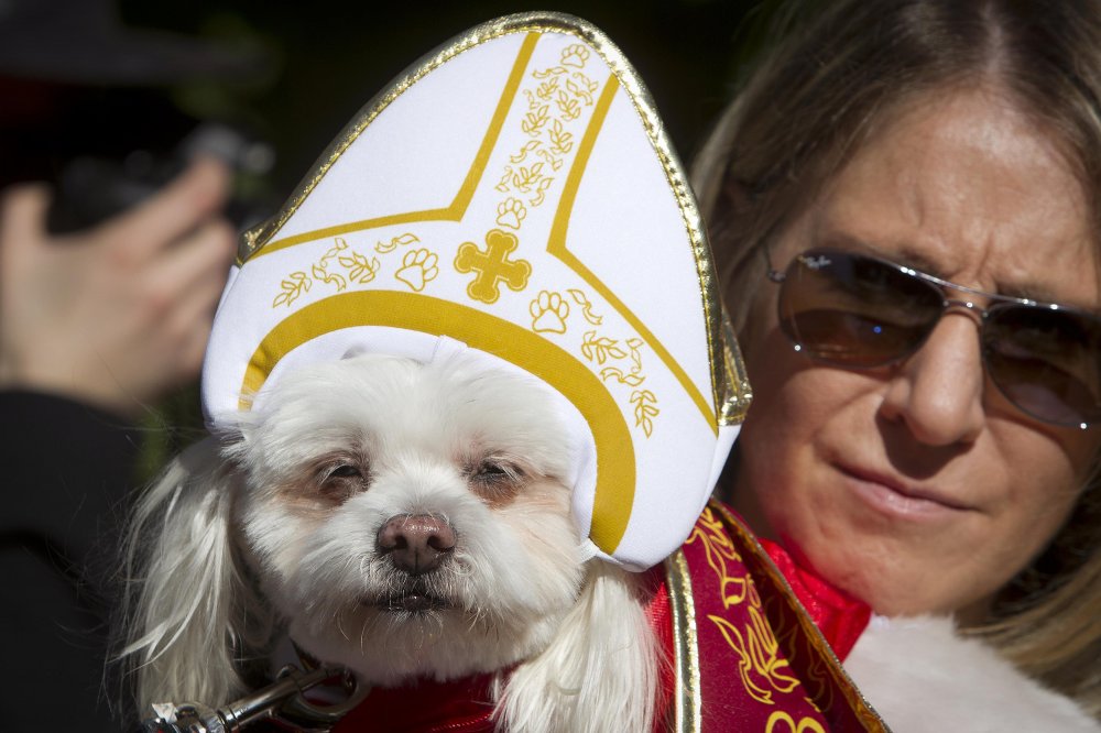 24th Halloween parade of dogs in New York