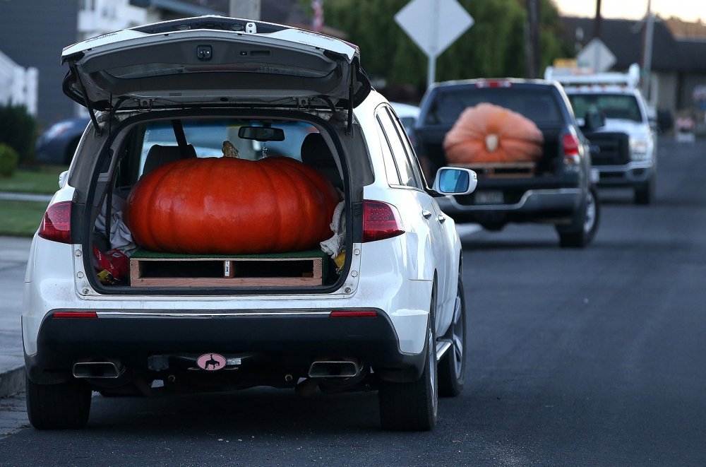 New Pumpkin Record of North America