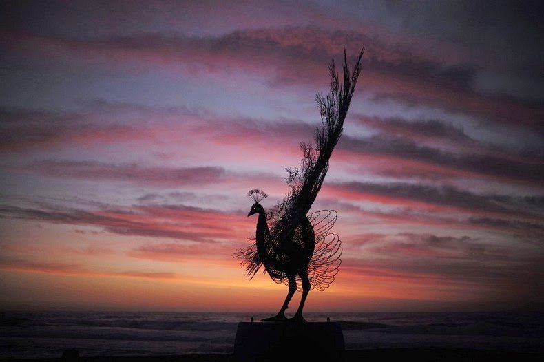 Скульптуры моря на пляже Бонди
