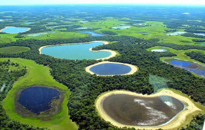 Пантанал - найбільші в світі прісні водно-болотні угіддя