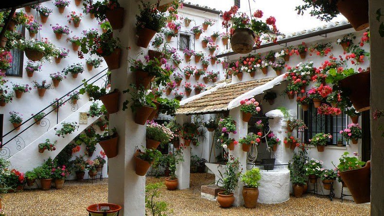 The most floral courtyard in Cordoba