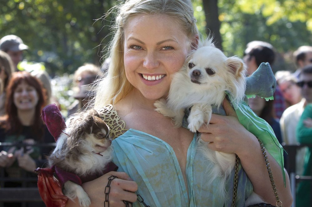 24th Halloween parade of dogs in New York