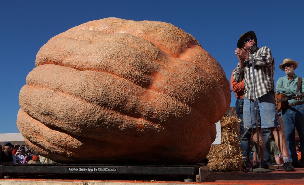 New Pumpkin Record of North America