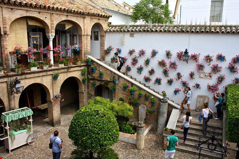 The most floral courtyard in Cordoba