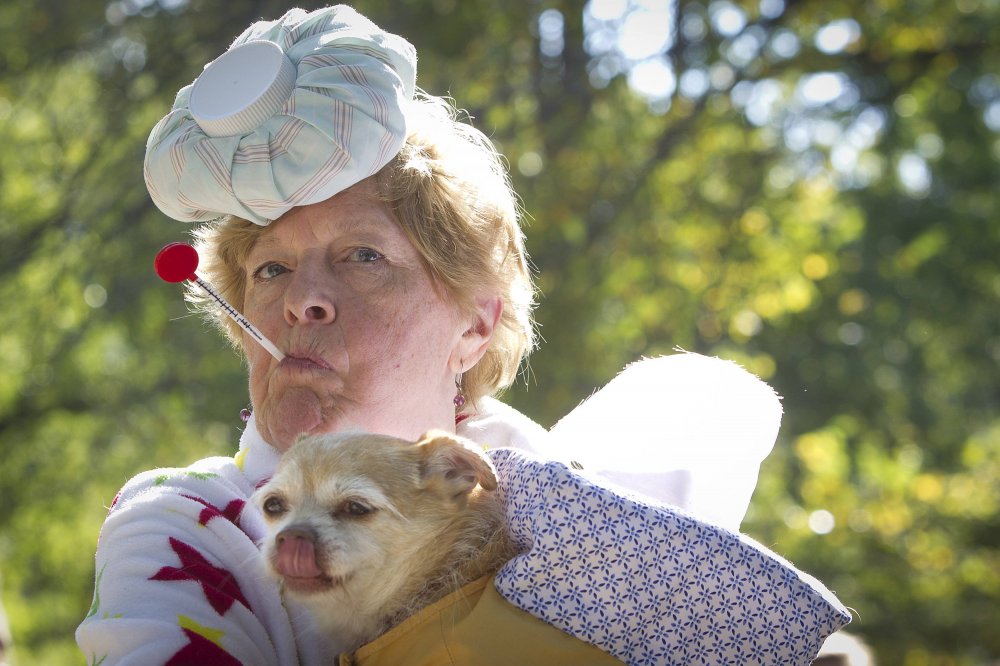 24th Halloween parade of dogs in New York