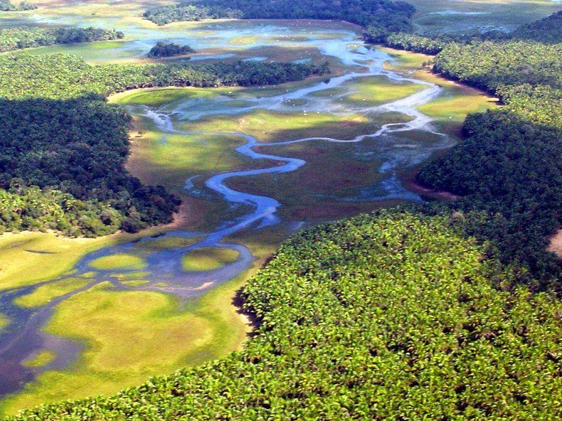 The Pantanal is the world's largest fresh wetland