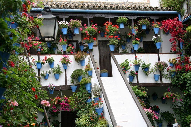The most flower courtyard in Cordoba