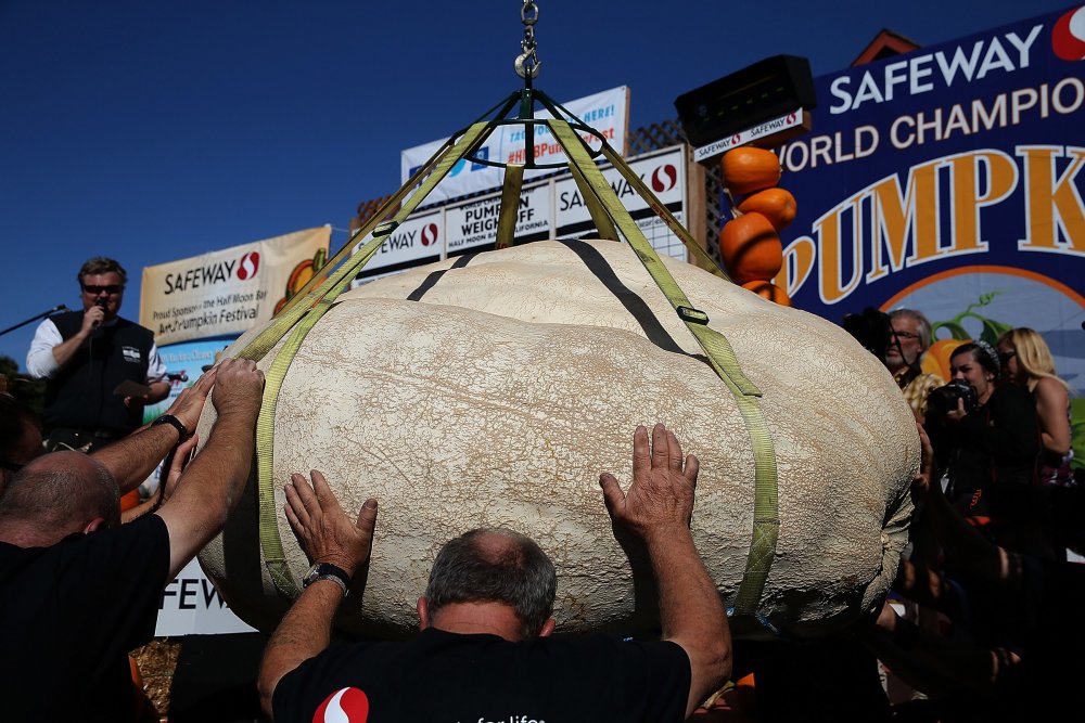 New Pumpkin Record of North America