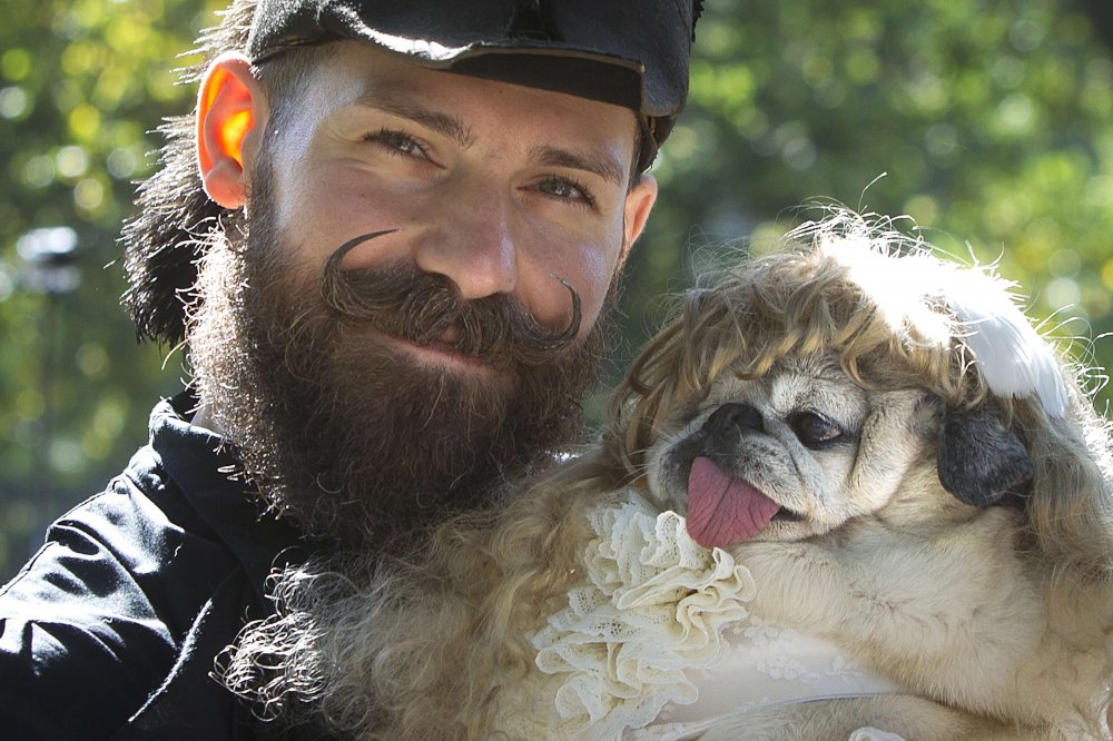 24th Halloween parade of dogs in New York