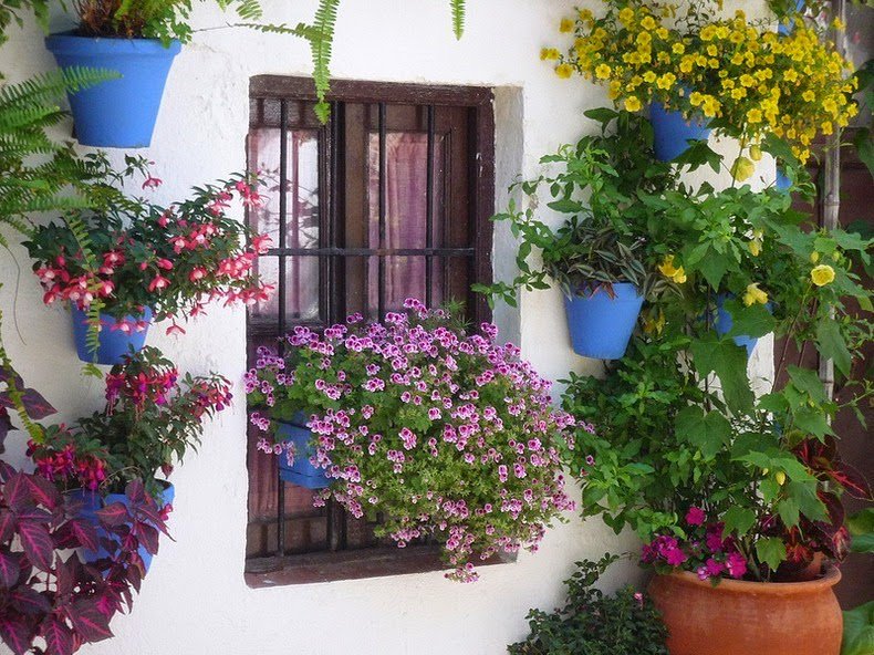 The most floral courtyard in Cordoba