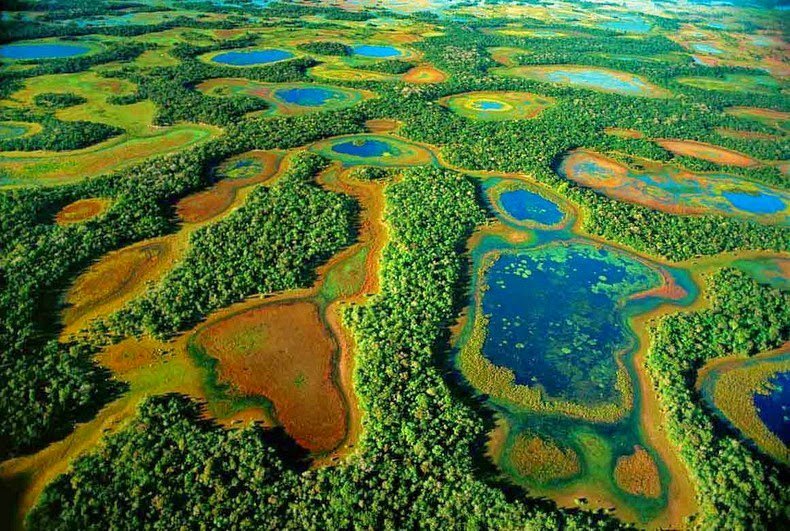 Пантанал - самые большие в мире пресные водно-болотные угодья