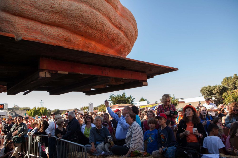 New Pumpkin Record of North America