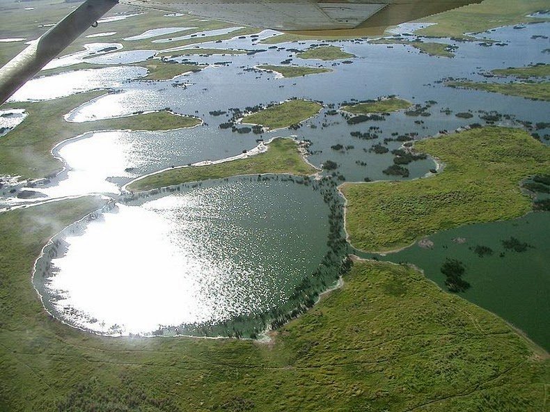 Пантанал - самые большие в мире пресные водно-болотные угодья
