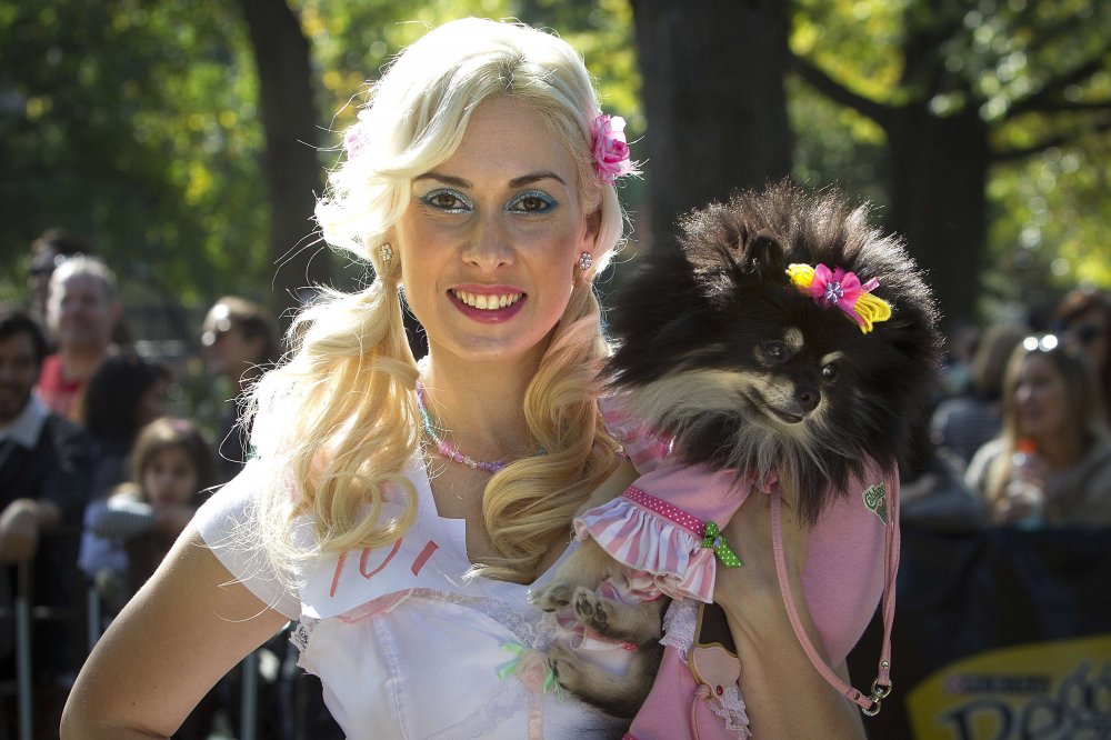 24th Halloween parade of dogs in New York